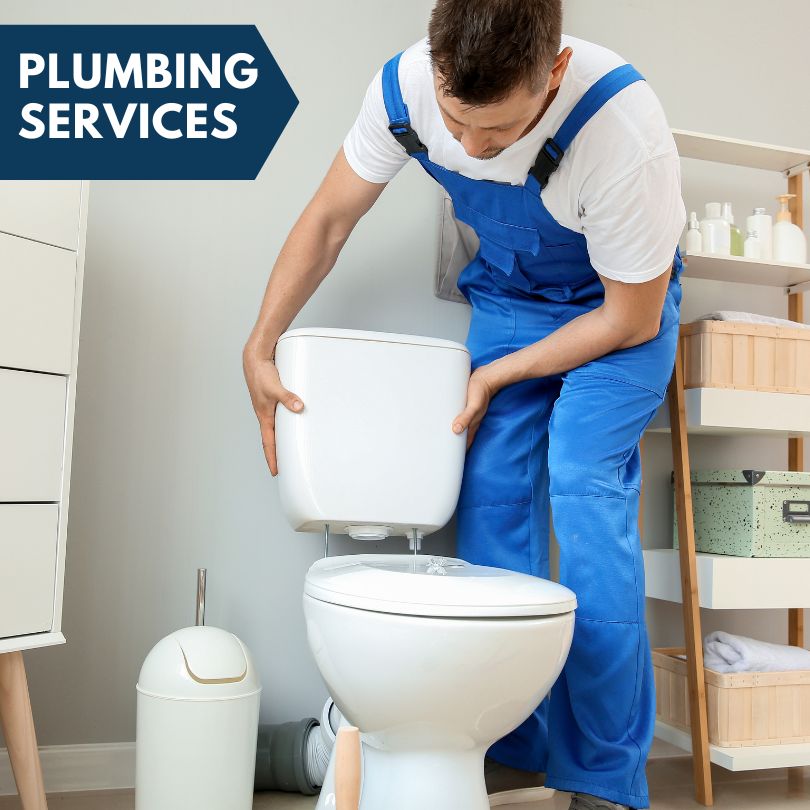 Plumbing Company in Leighton, IA